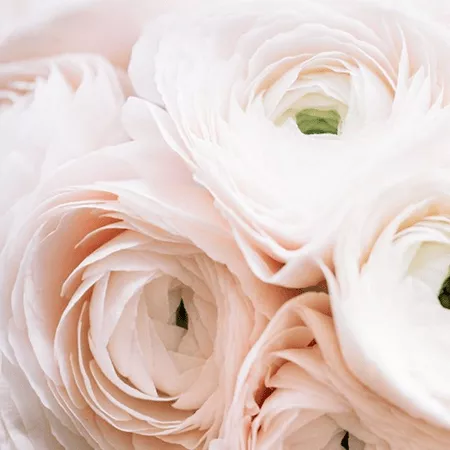 Image Slider