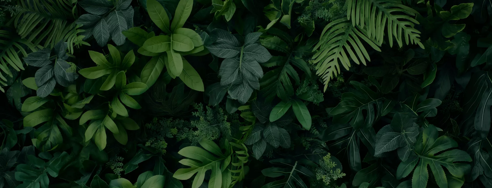 Image Slider