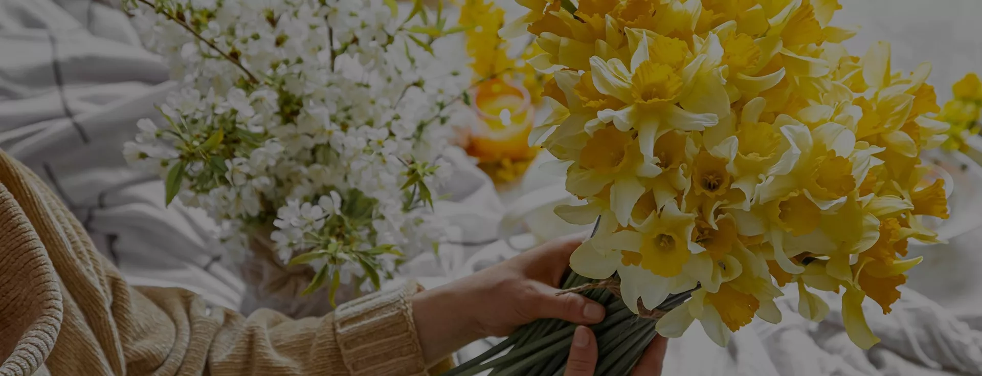 Image Slider