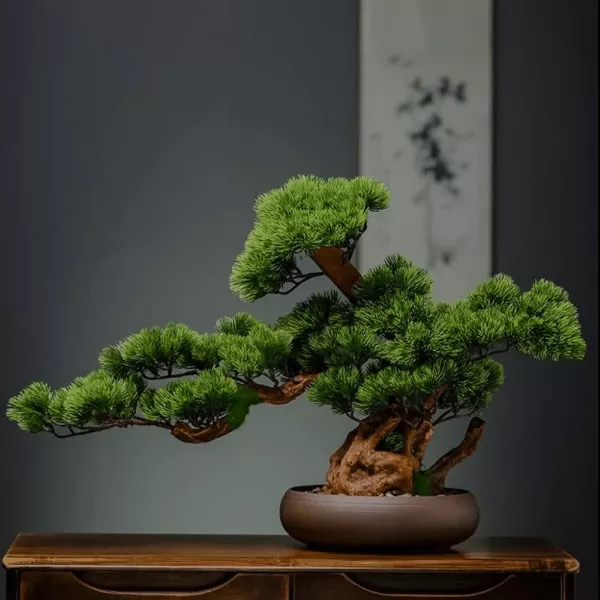 bonsai